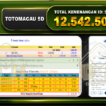 TOTOMACAU 5D 12.542.000